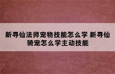 新寻仙法师宠物技能怎么学 新寻仙骑宠怎么学主动技能